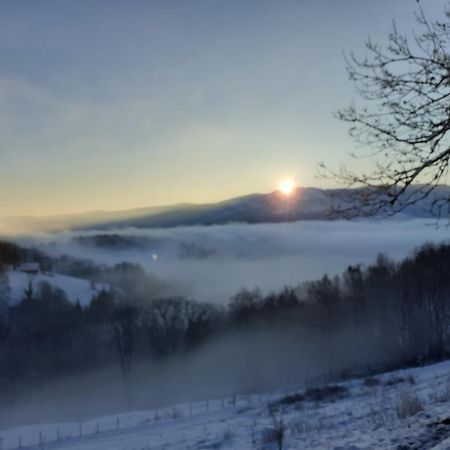 Bed and Breakfast Ferme Im-Berg Metzeral Exterior foto