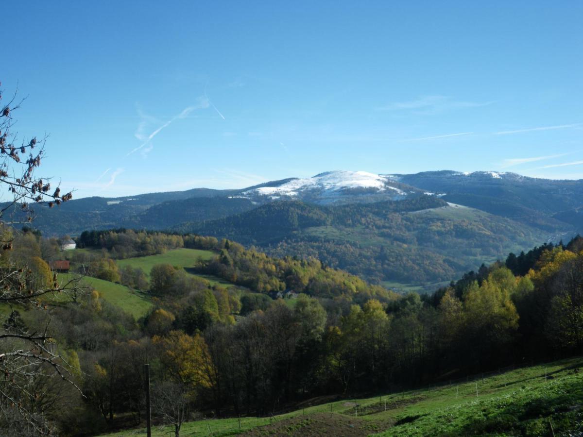 Bed and Breakfast Ferme Im-Berg Metzeral Exterior foto