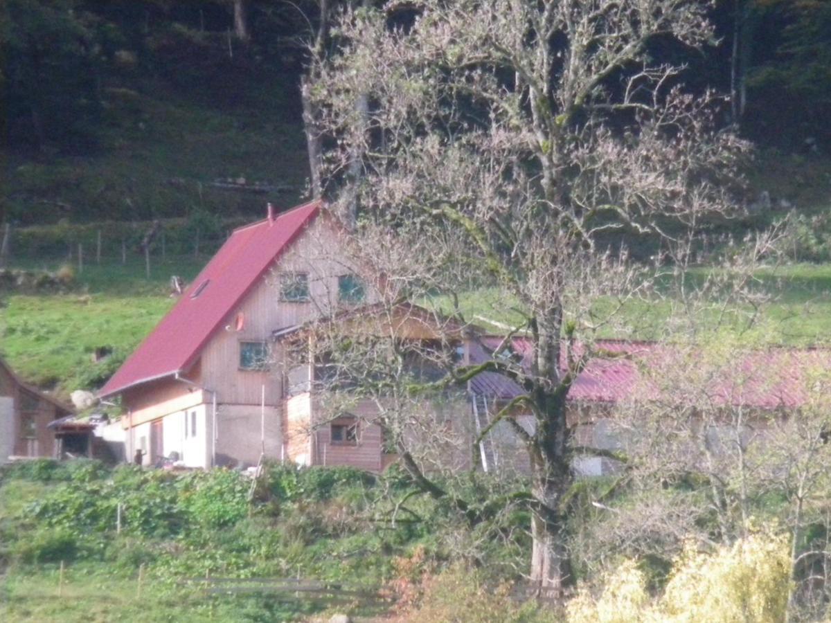 Bed and Breakfast Ferme Im-Berg Metzeral Exterior foto