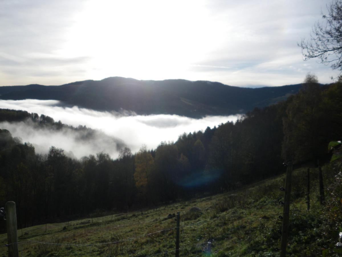 Bed and Breakfast Ferme Im-Berg Metzeral Exterior foto